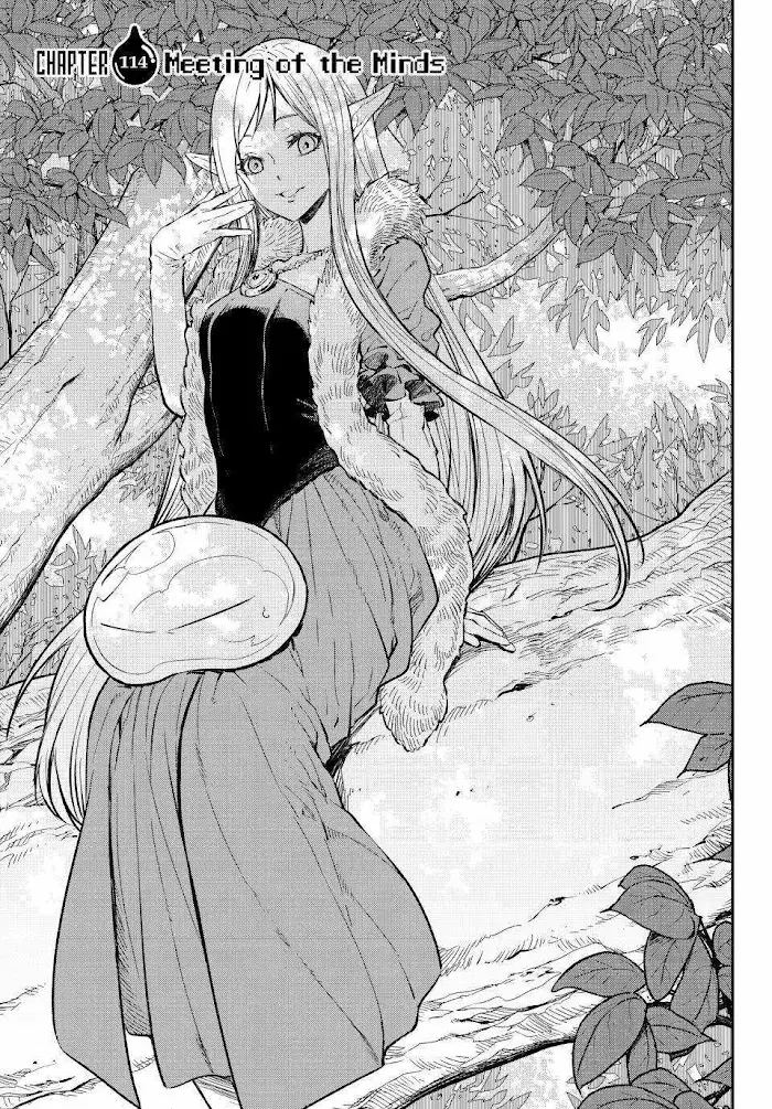 That Time I Got Reincarnated as a Slime Chapter 114 image 14_optimized